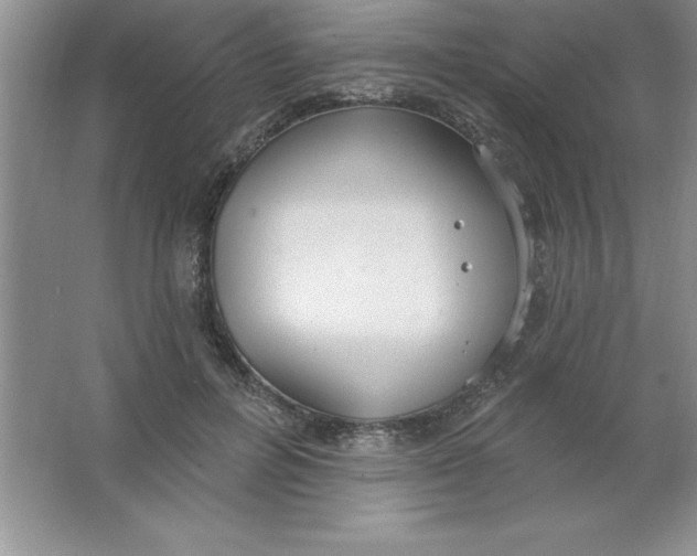 X0000063510600200602101927