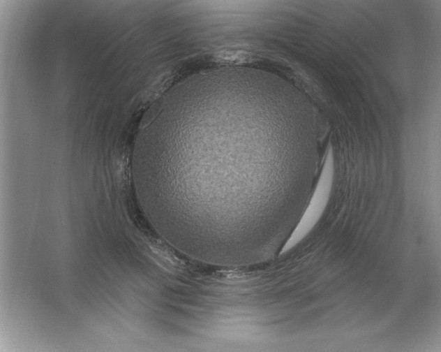 X0000063510601200602101927