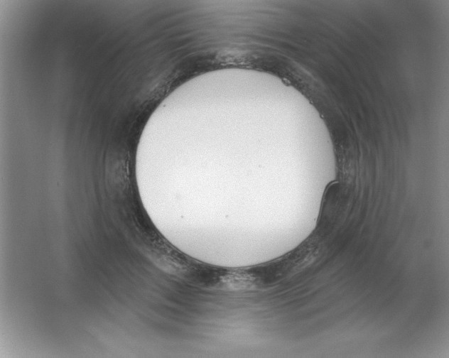 X0000063510603200602101927