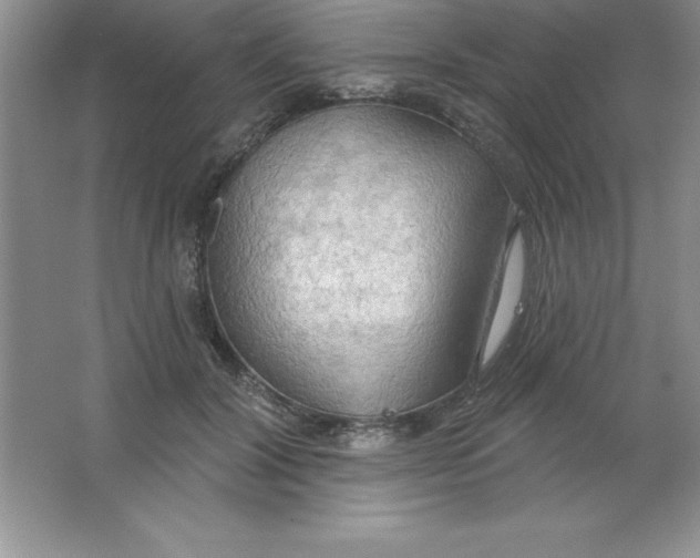 X0000063510604200602101927