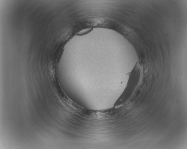 X0000063510607200602101927