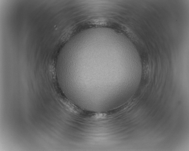 X0000063510609200602101927