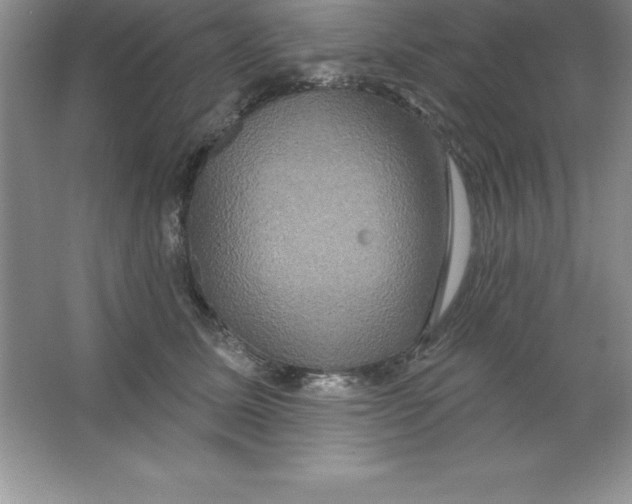 X0000063510611200602101927