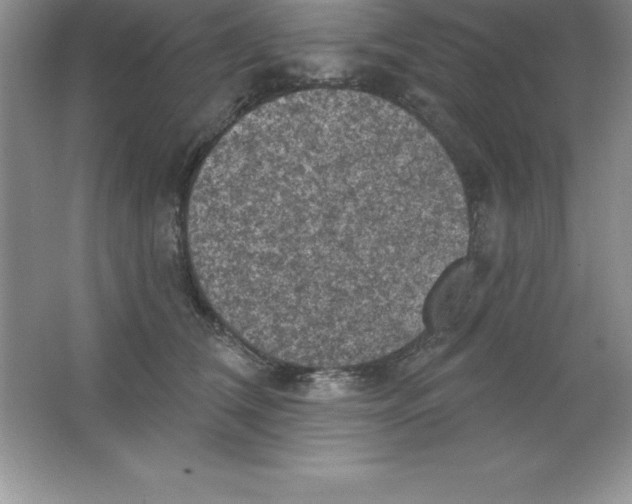 X0000063510612200602101927