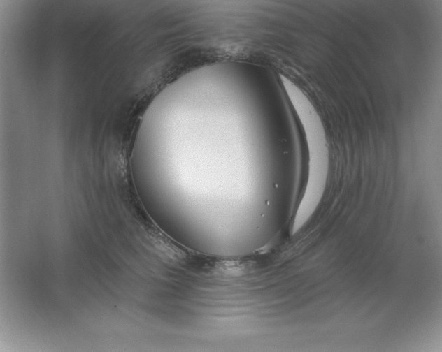 X0000063510613200602101927