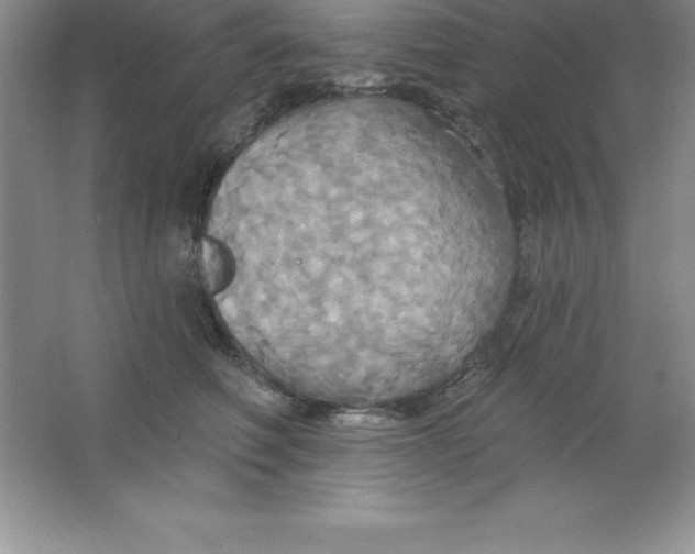 X0000063510614200602101927