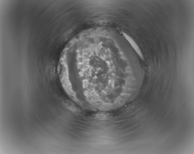 X0000063510615200602101927