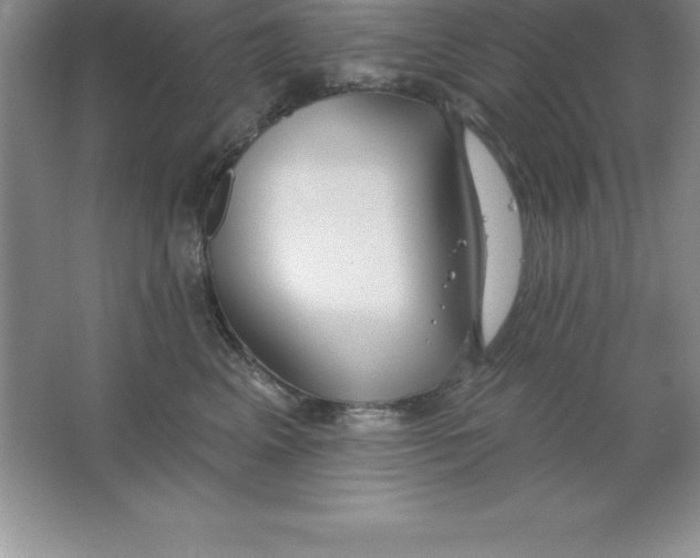 X0000063510617200602101927