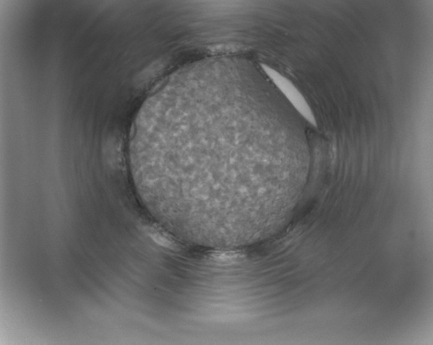 X0000063510619200602101927