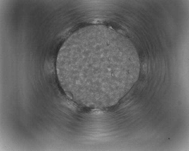 X0000063510620200602101927