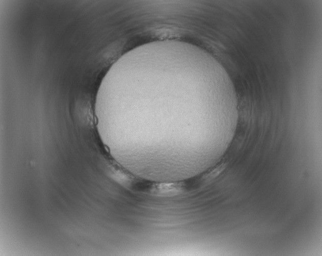 X0000063510622200602101927