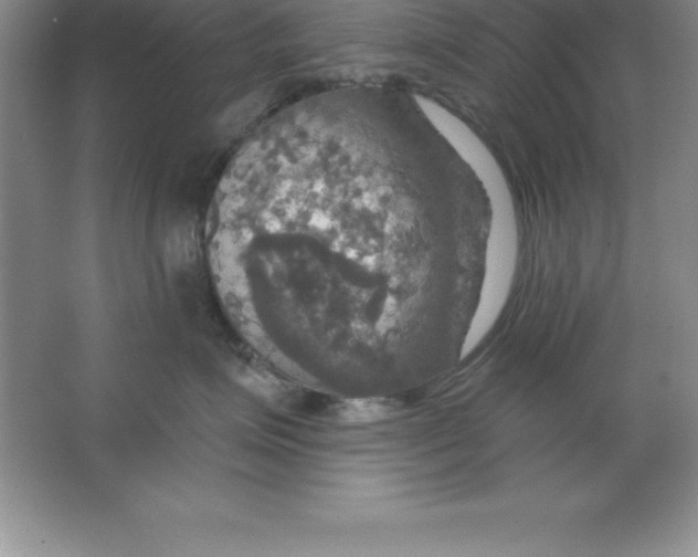 X0000063510623200602101927