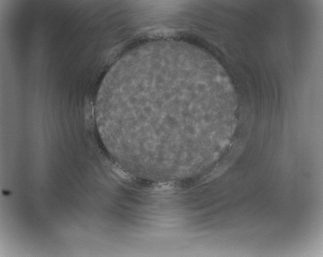 X0000063510624200602101927