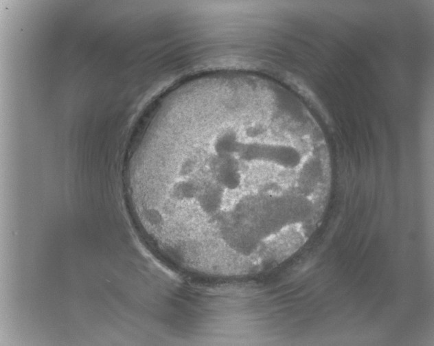 X0000063510625200602101926