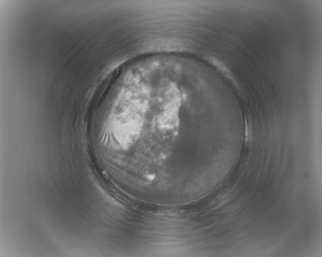 X0000063510627200602101926