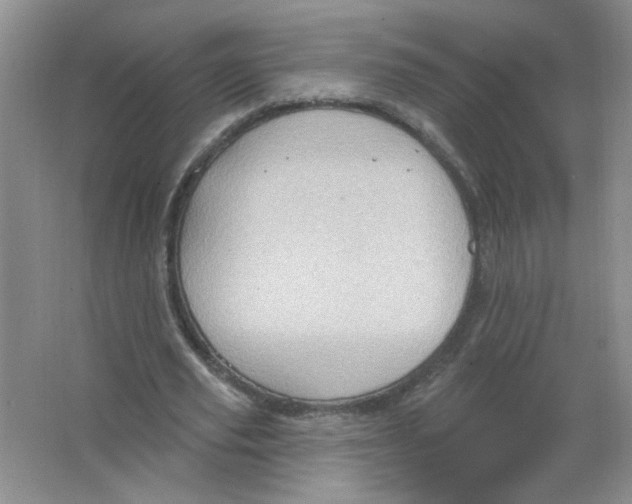 X0000063510629200602101926