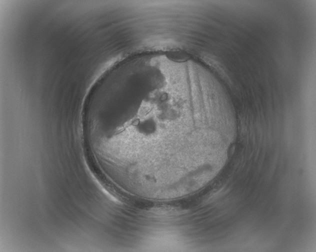 X0000063510630200602101926