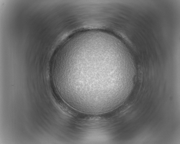 X0000063510631200602101926