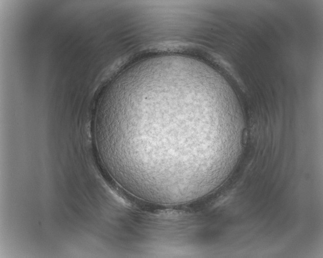 X0000063510633200602101926