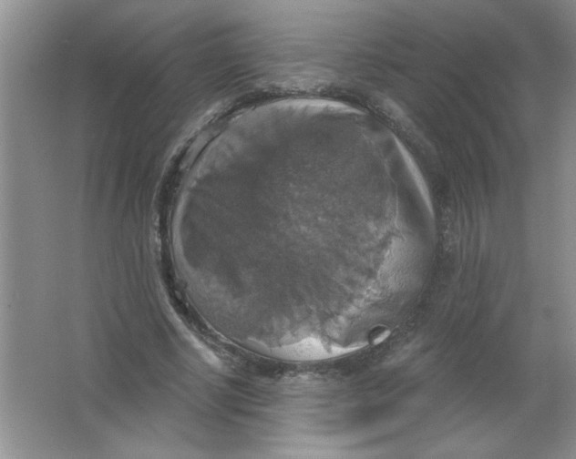 X0000063510634200602101926