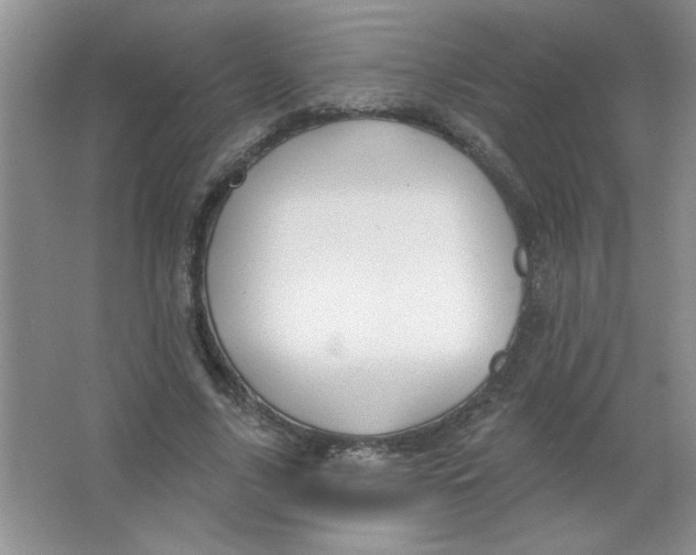 X0000063510635200602101926