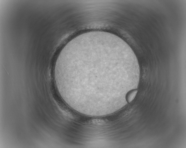 X0000063510636200602101926