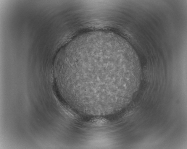 X0000063510642200602101926