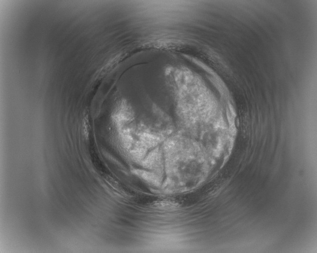 X0000063510644200602101926