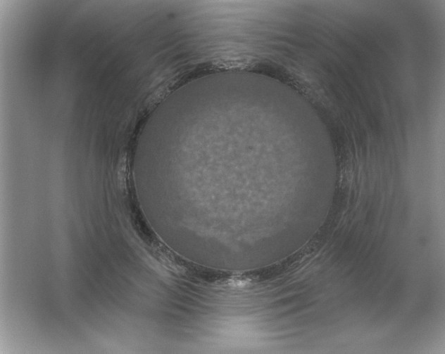 X0000063510647200602101926