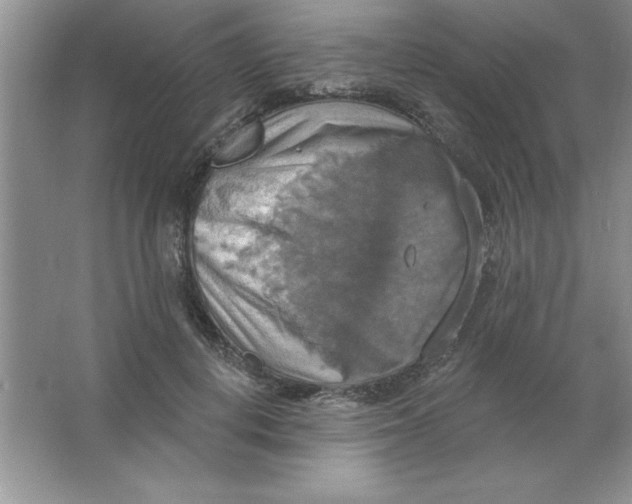 X0000063510648200602101926