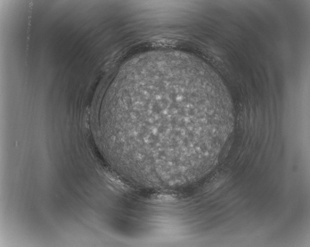 X0000063510649200602101926