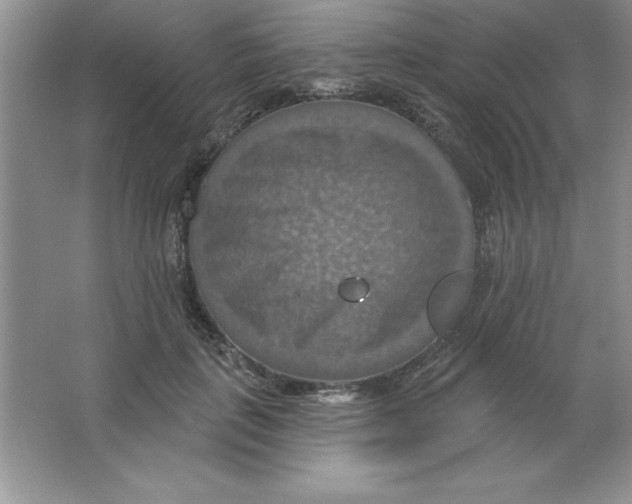 X0000063510651200602101927