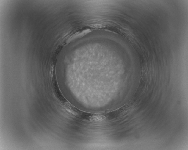 X0000063510652200602101927