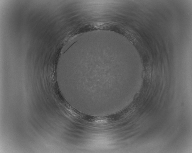 X0000063510653200602101927