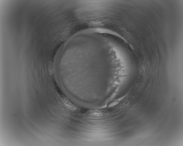 X0000063510658200602101927