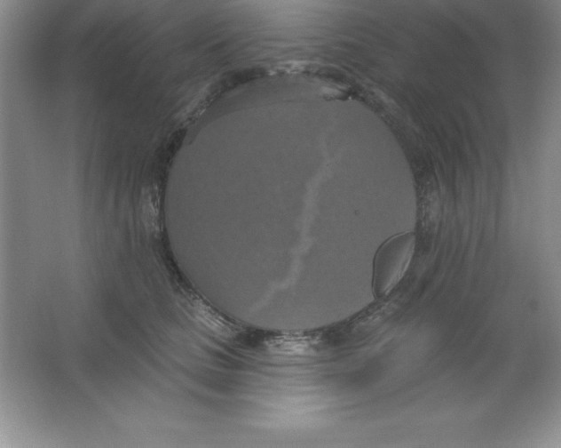 X0000063510661200602101927