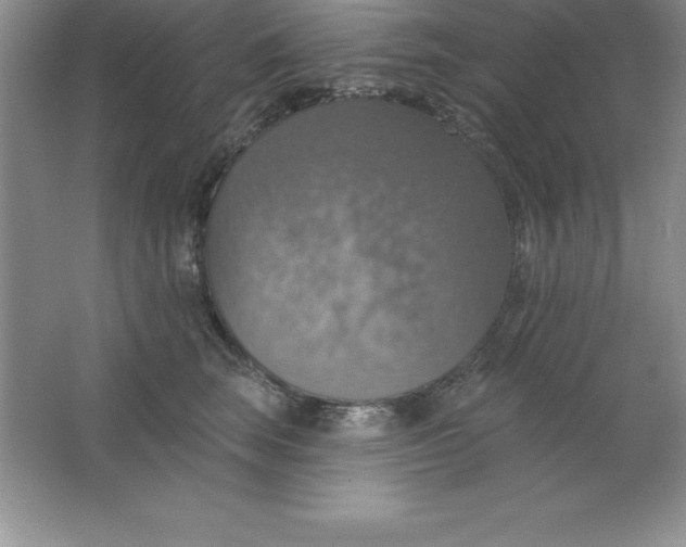 X0000063510663200602101927