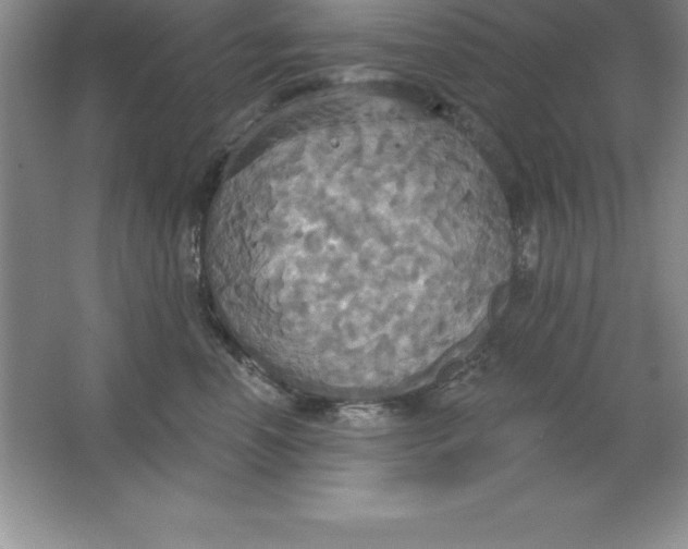 X0000063510666200602101927