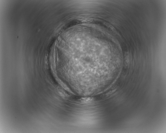 X0000063510667200602101927