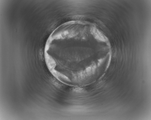 X0000063510669200602101927