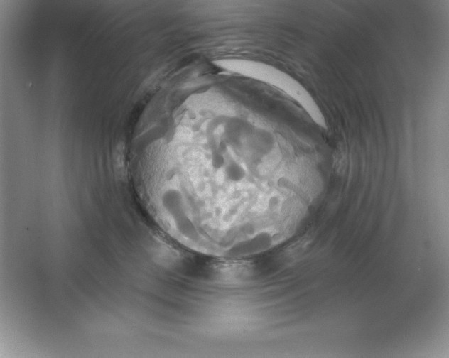 X0000063510670200602101927