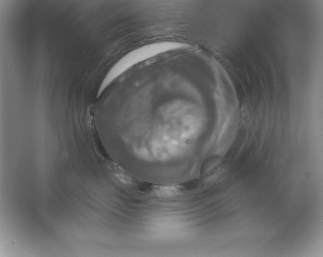 X0000063510671200602101927