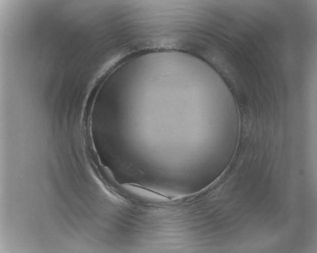 X0000063510674200602101926