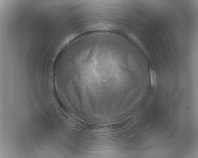 X0000063510675200602101926