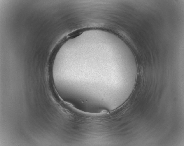 X0000063510676200602101926