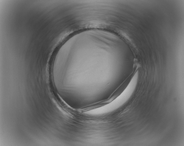 X0000063510678200602101926