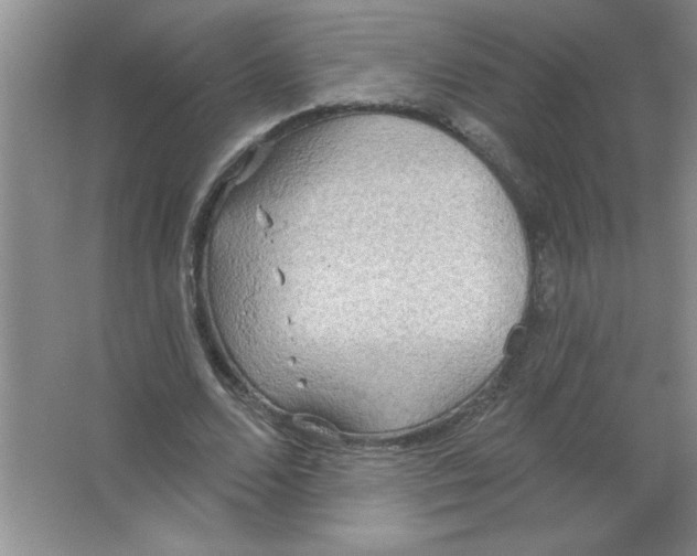 X0000063510680200602101926