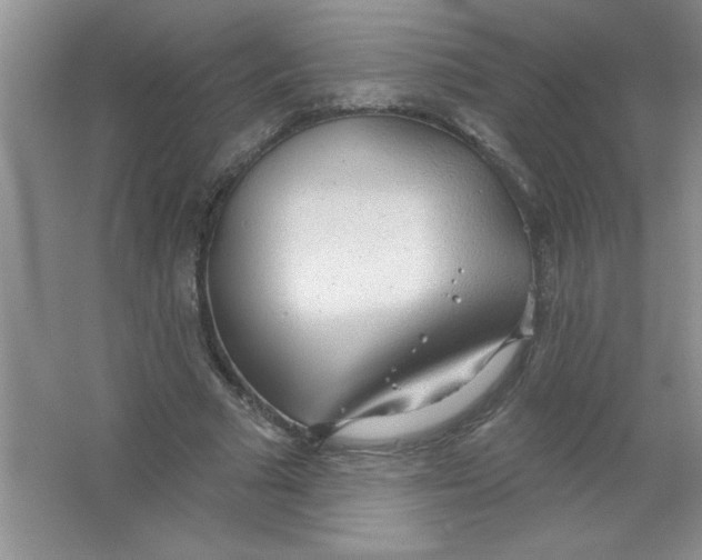 X0000063510681200602101926