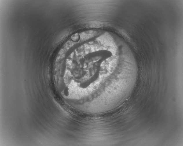 X0000063510683200602101926