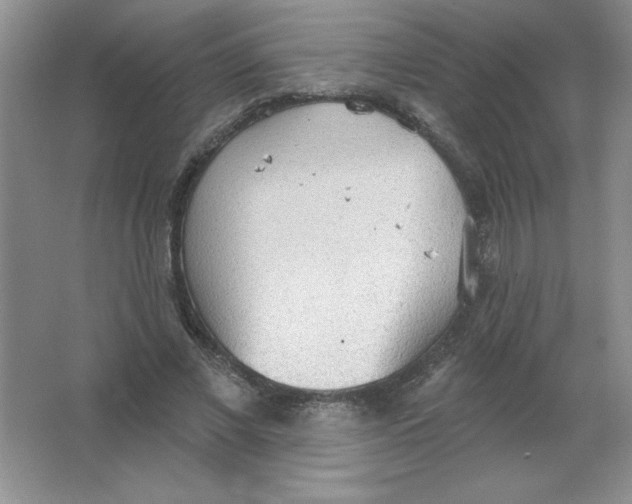 X0000063510685200602101926